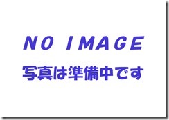 ＮＯ　ＩＭＡＧＥ　データ